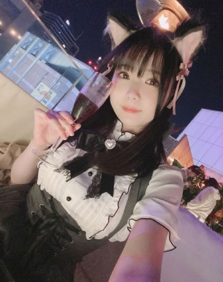 向日葵的绽放动画观看免费