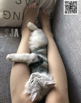 密林追击电影播放
