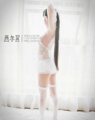 海贼王hentai