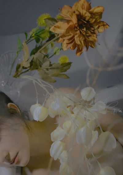 《战狼2》免费观看完整版高清