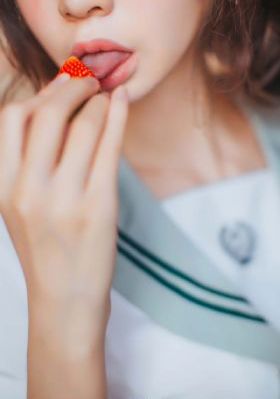 野生厨房第二季