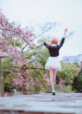 蜂蜜柠檬苏打电视剧免费观看