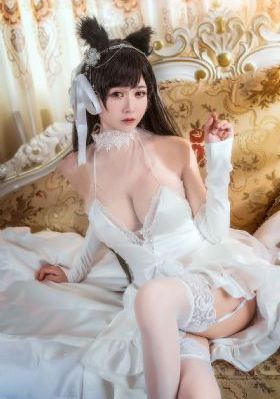 白嫖者联盟电影在线看